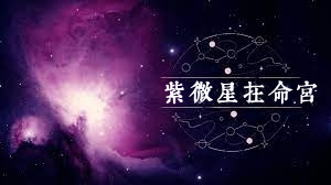 紫微星在命宫